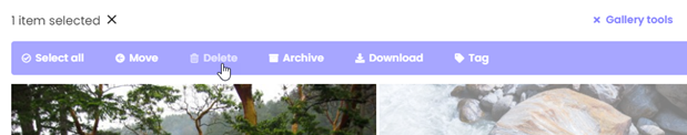 Insert_images_-_Delete_photo_in_gallery.png