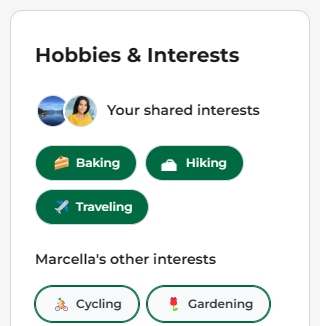 Hobbies & Interests - Shared background color.png