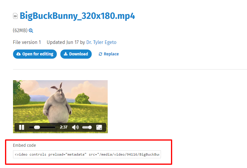 BigBuckBunny_320x180.mp4.png
