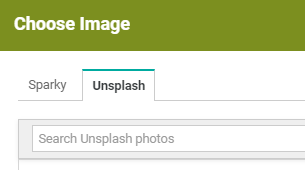 Insert_images_from_Unsplash_-_Unsplash_tab.png
