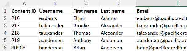 Bulk update users - Export spreadsheet.jpg