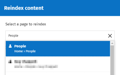 Troubleshooting_the_search_index_-_Search_content.png